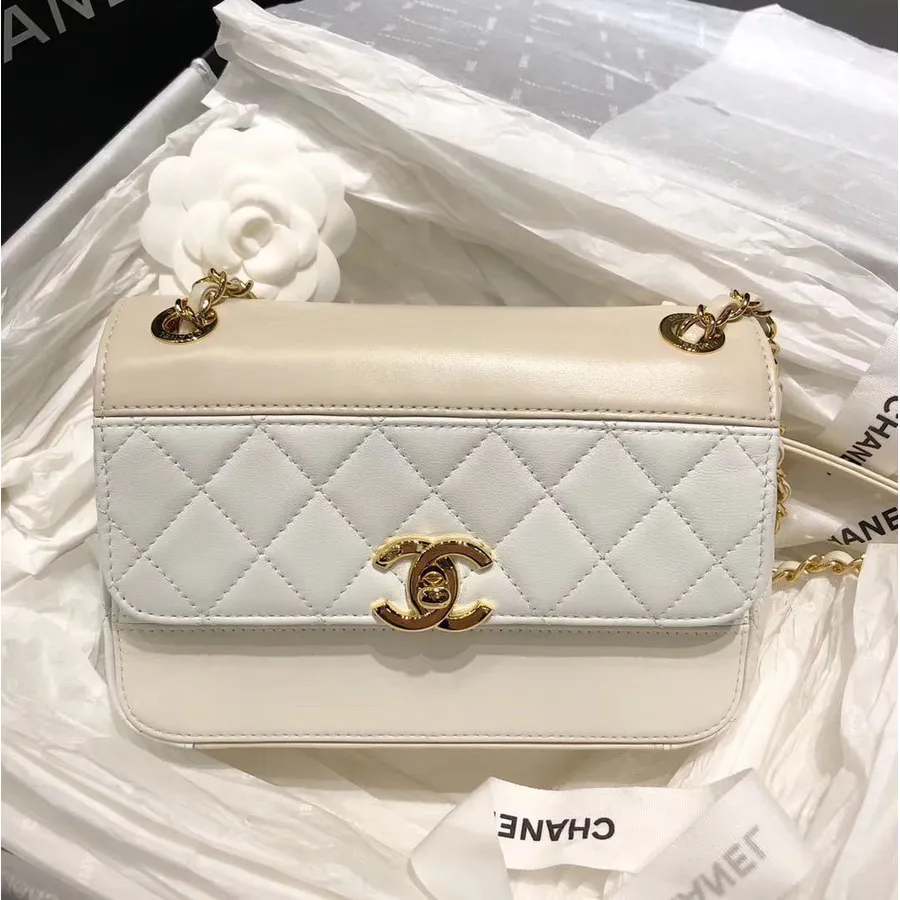 Chanel Prešívaná Taška S Chlopňou 20 Cm Jahňacia Koža Jar/leto 2020 Akt 1 Kolekcia, Biela/béžová