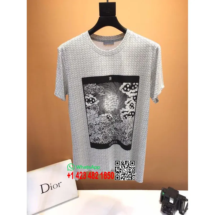 T-shirt Oversize En Coton Christian Dior La Soleil, Collection Printemps/été 2020, Gris