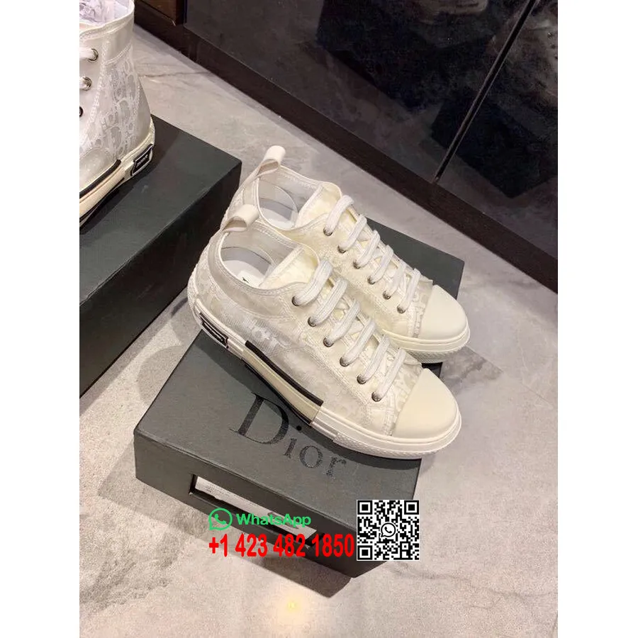 Adidasi Christian Dior X Kaws B23 Converse Low-top Piele De Vițel Colecția Primăvară/vară 2019, Alb Transparent