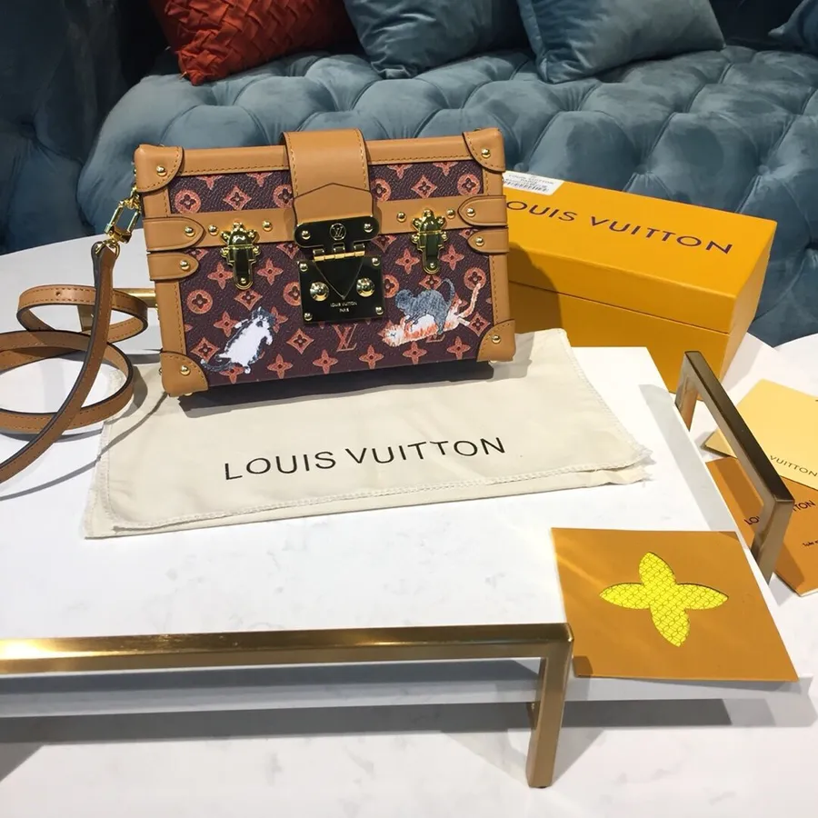 Louis Vuitton Borsa Catogram Petite Malle 20 Cm Tela Monogramma Con Stampa In Rilievo Collezione Cruise 2019 M44407, Marrone/ara